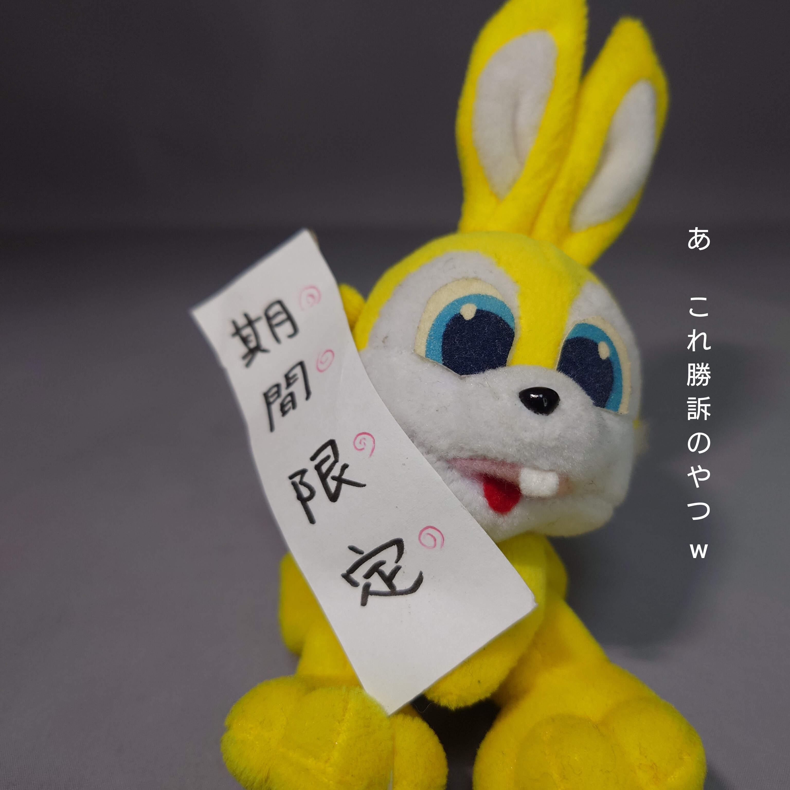期間限定・暮れの元気なごあいさつ【Dashブログ】