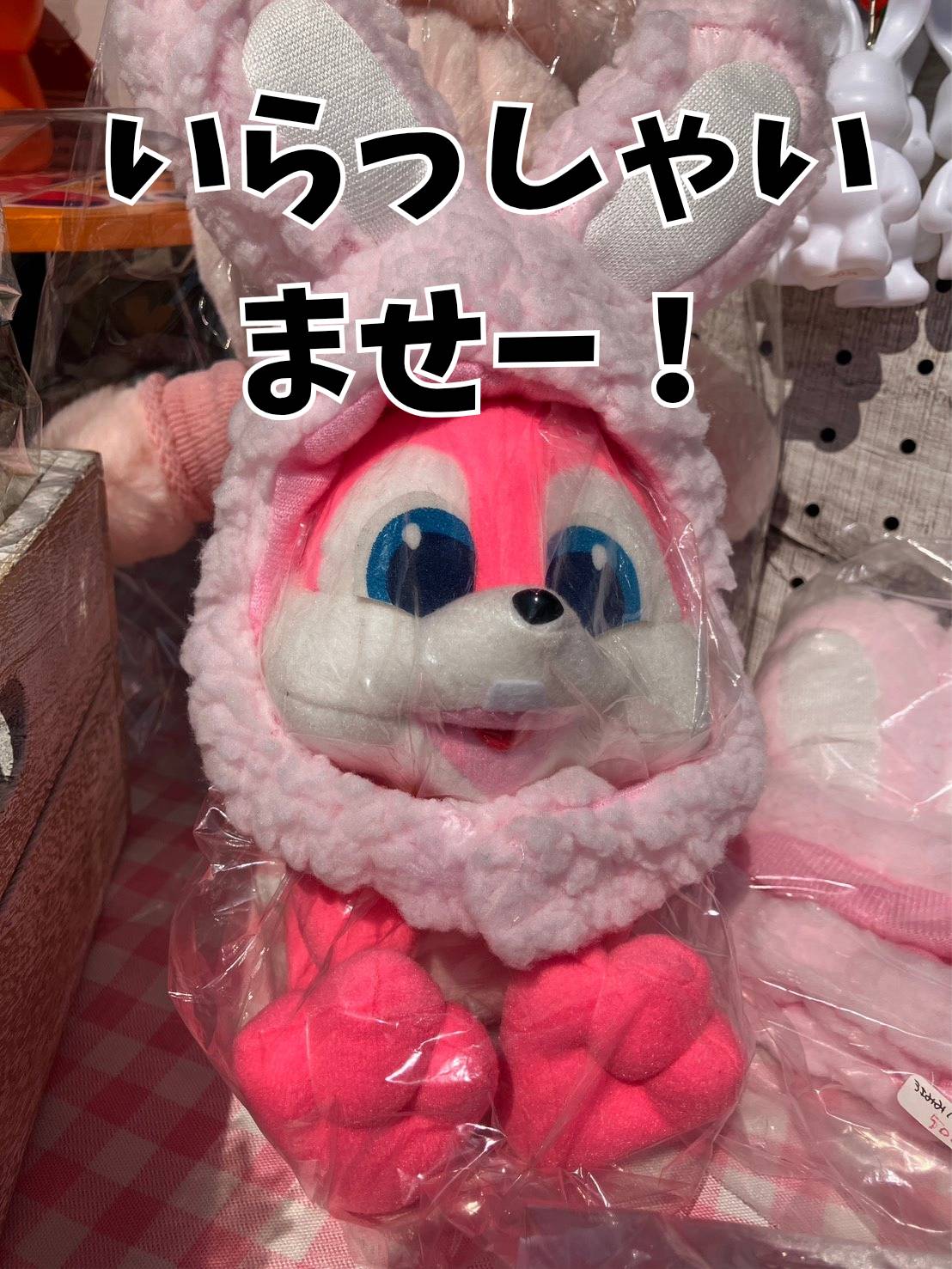 天平に想いをはせて【Dashブログ】