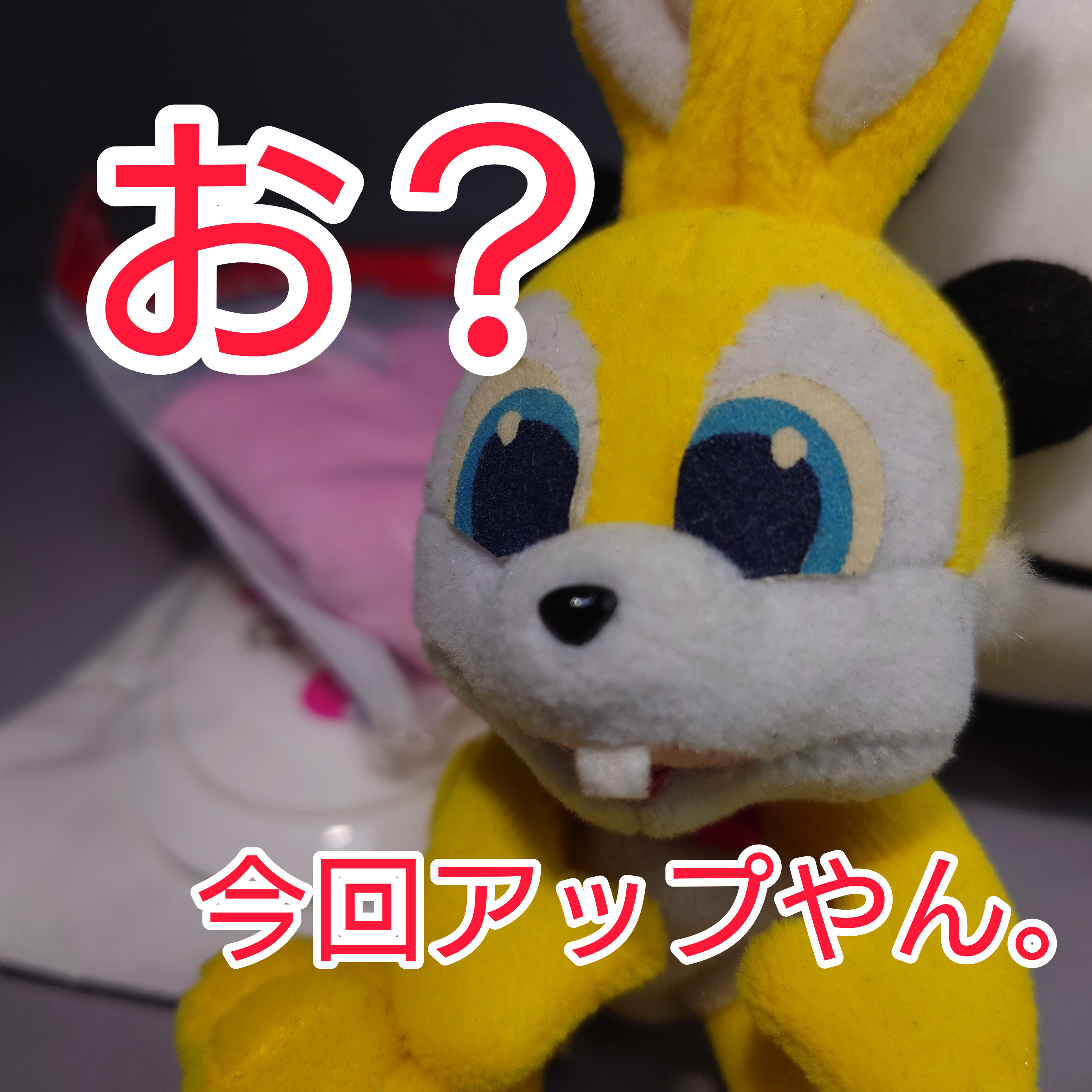 追加事項・企業案件【Dashブログ】