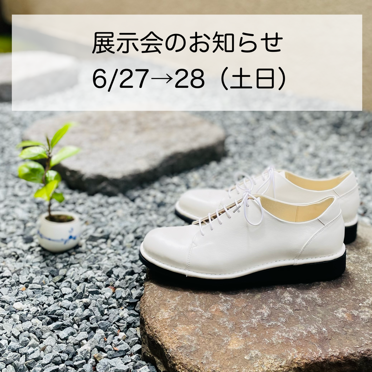 ◎6月 展示受注会のお知らせ