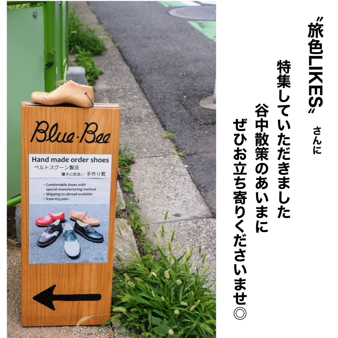 すてきな記事にしていただきました！