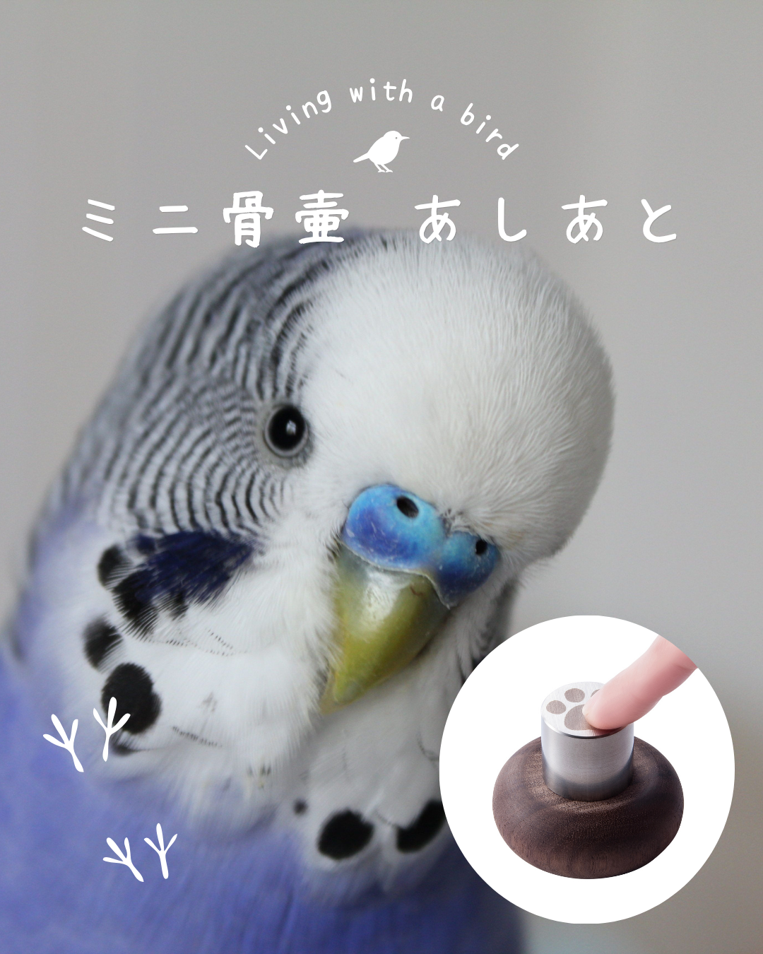 ペット向けの手元供養商品、犬猫向けが大半を占めます。でもペットは他の動物もいるわけで。小鳥とか。