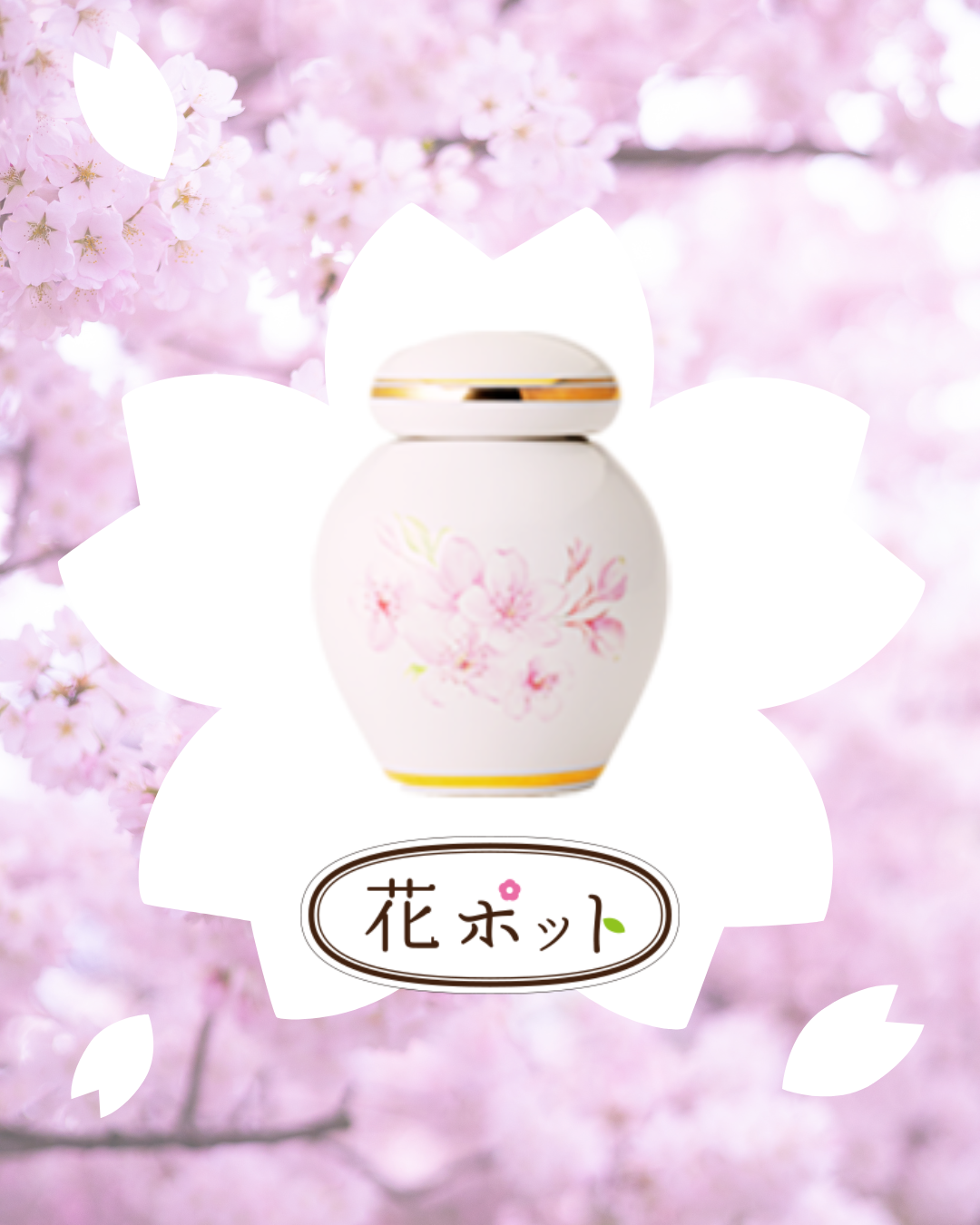 あの人も、あの子もきっと大好き。桜の季節がやってきました。今週末は偲んでお花見はいかがですか？