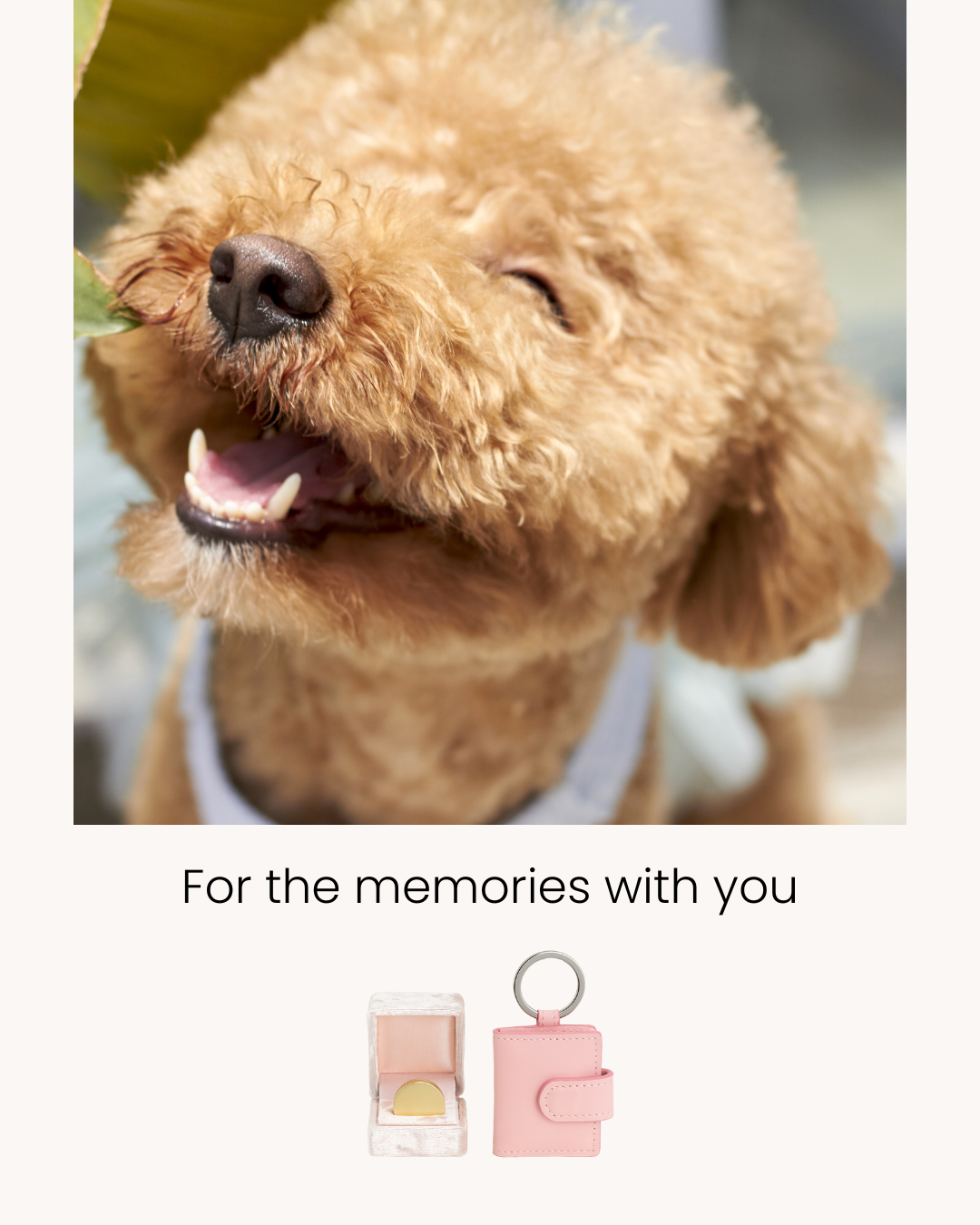 哀しみを癒す時という薬が中々効かない時には、お役に立てるかもしれない手元供養(劇薬かもしれません)