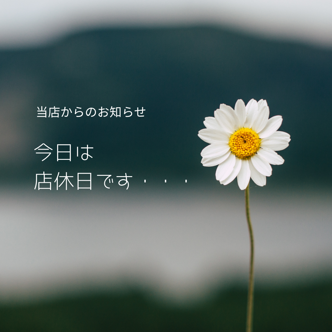 今日はお休みをいただいております。【手元供養セレクトショップ】です。