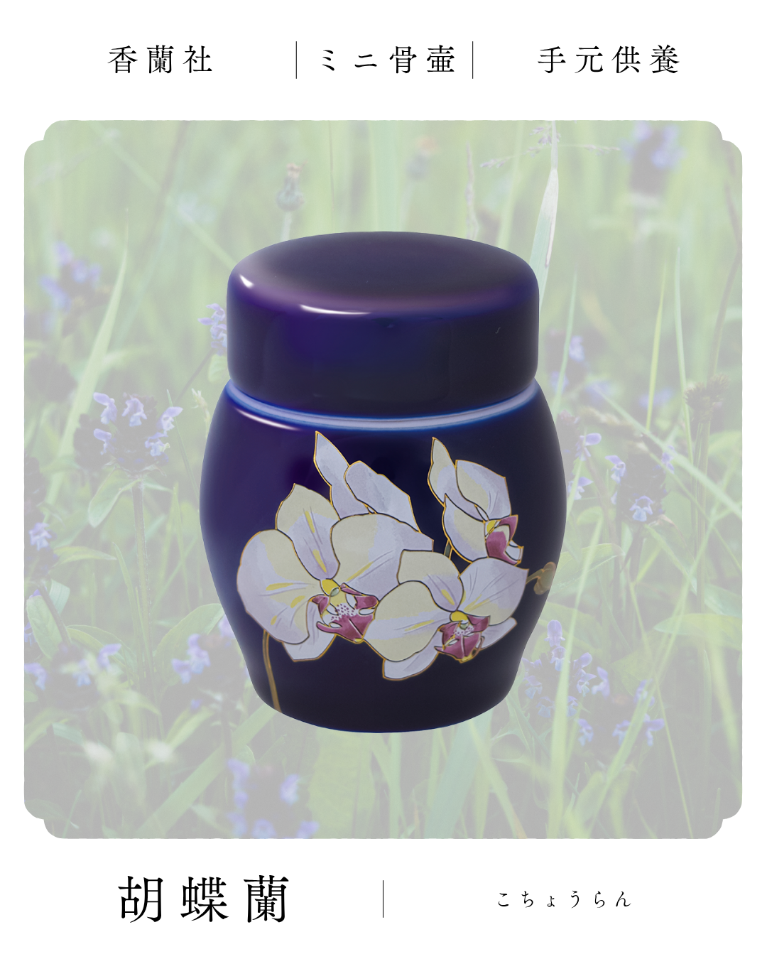 胡蝶蘭の栽培は難しいけど、お花をあしらった品なら、いつでも美しい姿を愛でられます！