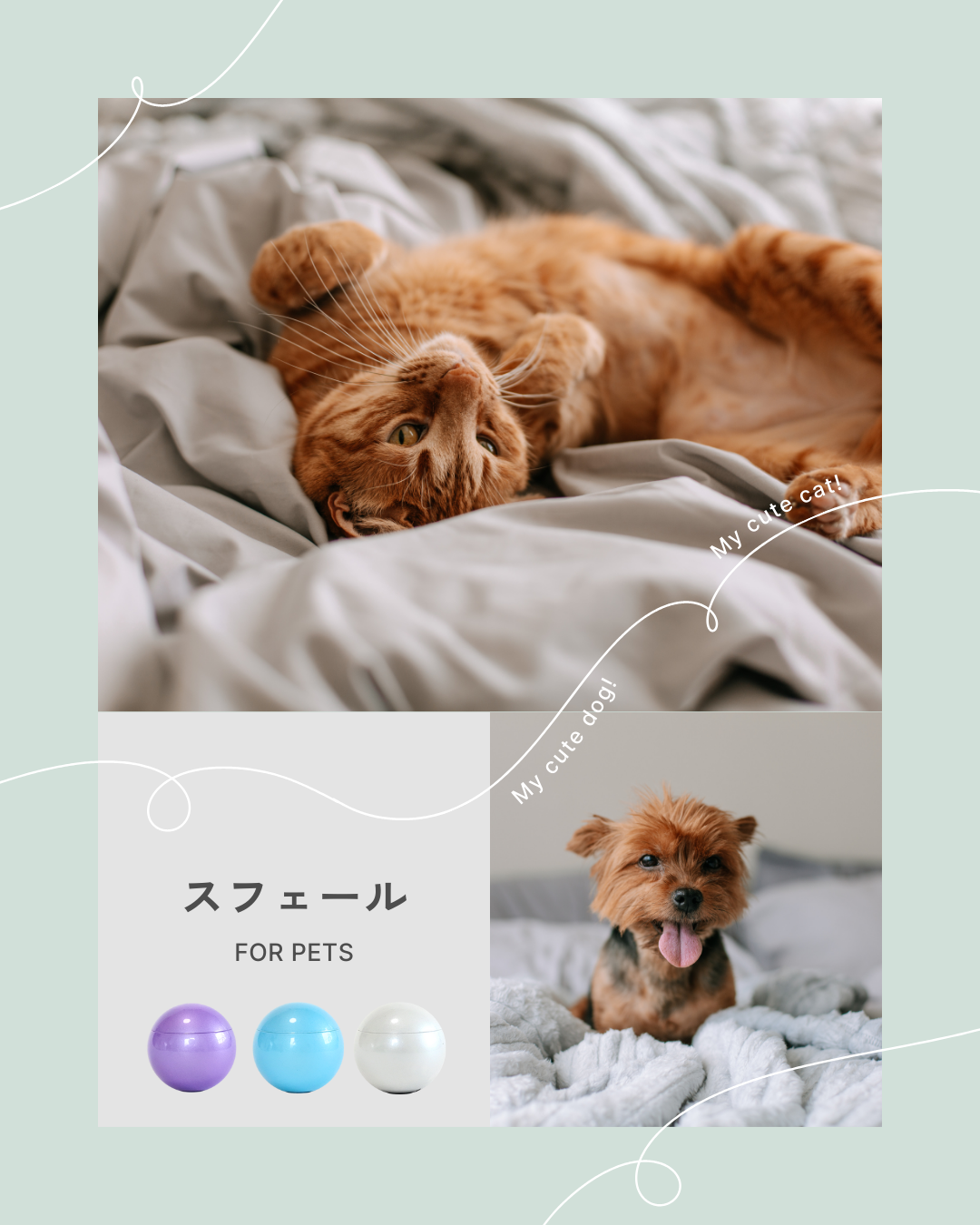 大切な存在を失う気持ちは、人もペットも多分同じです。あなたの心の平安につながる手元供養商品、あります
