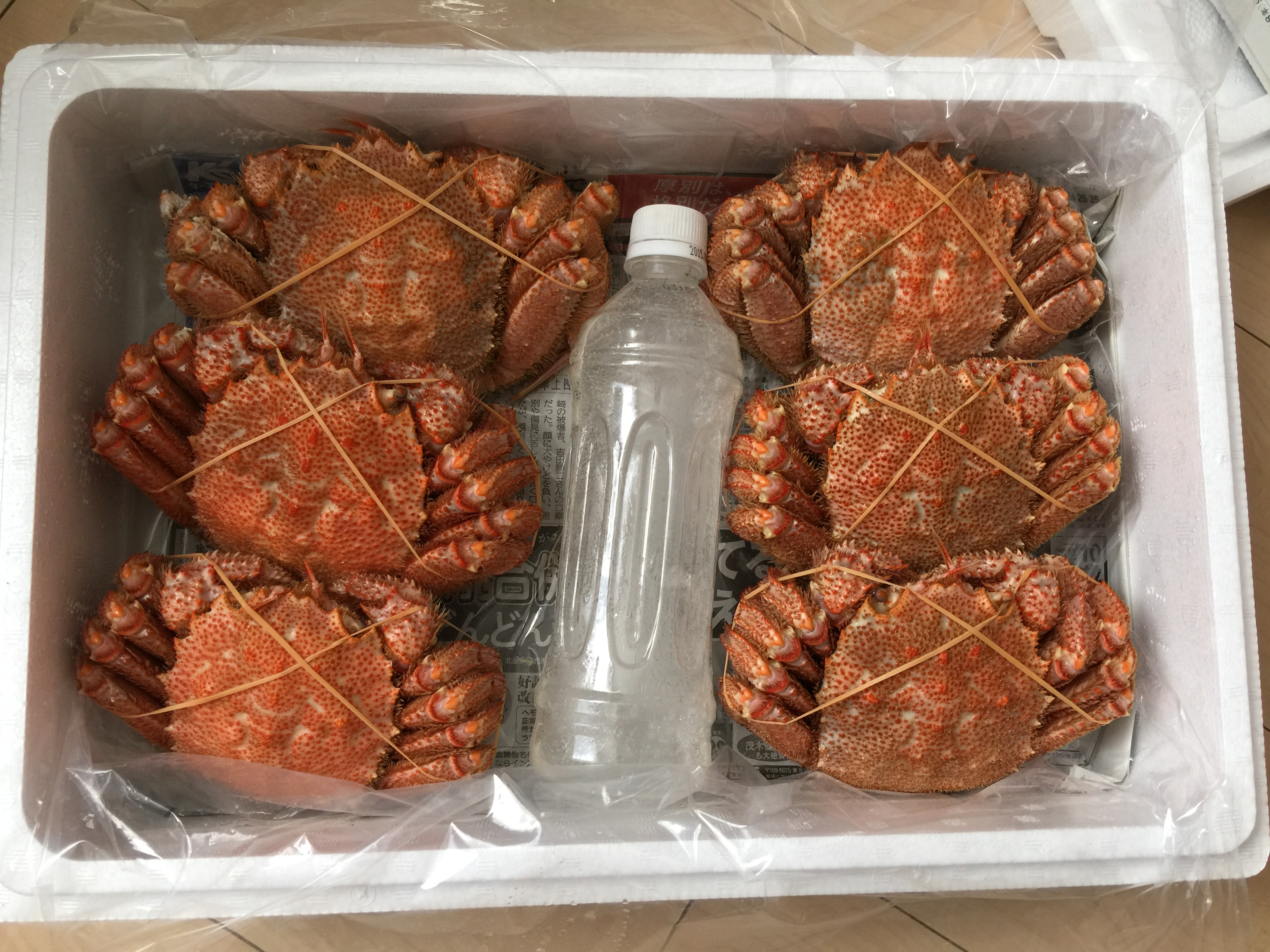本日届きました。