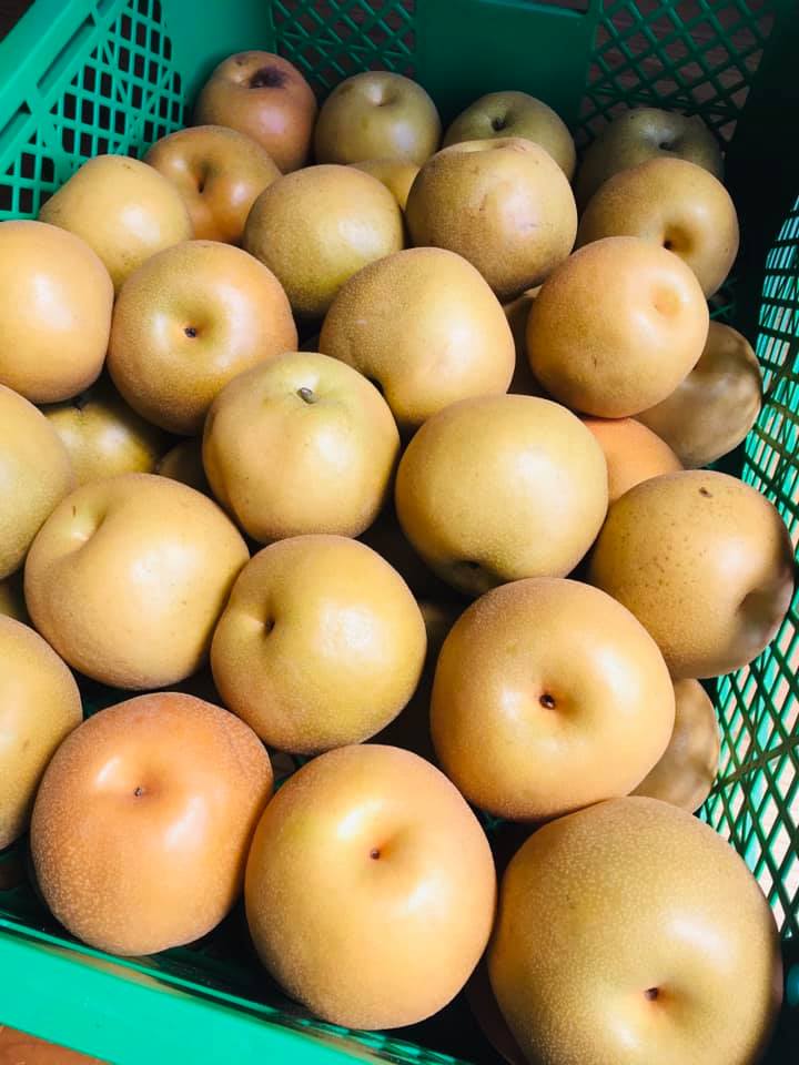 ピビン麵のタレ、の物語