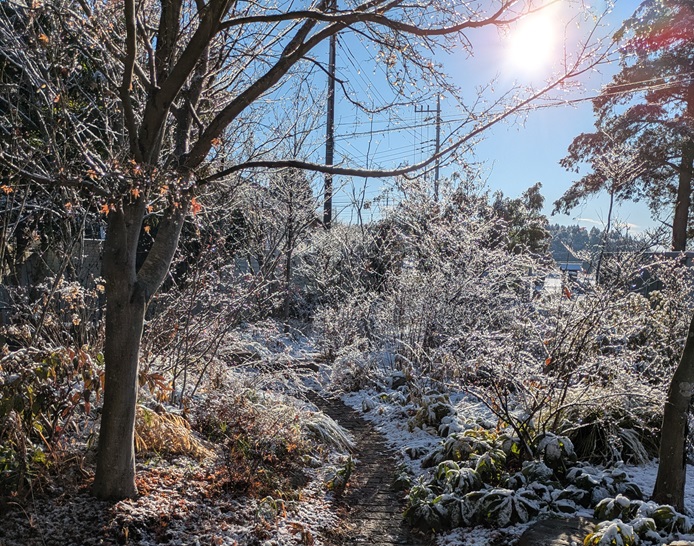 本年もよろしくお願いいたします