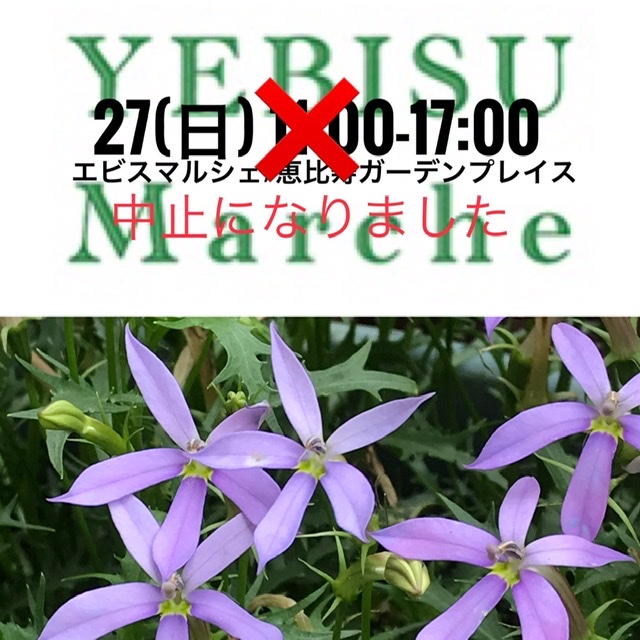 エビスマルシェ中止です
