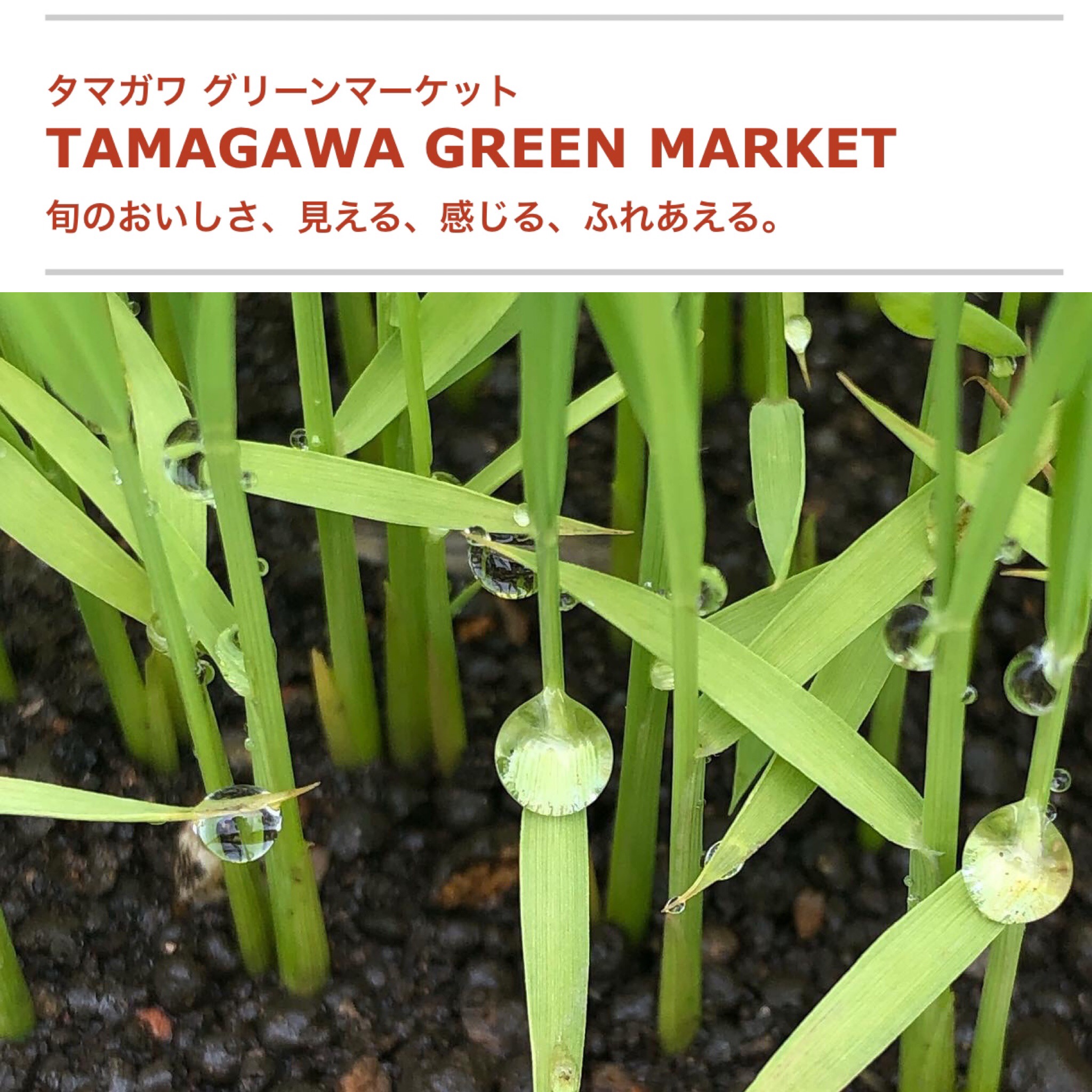 二子玉川 高島屋