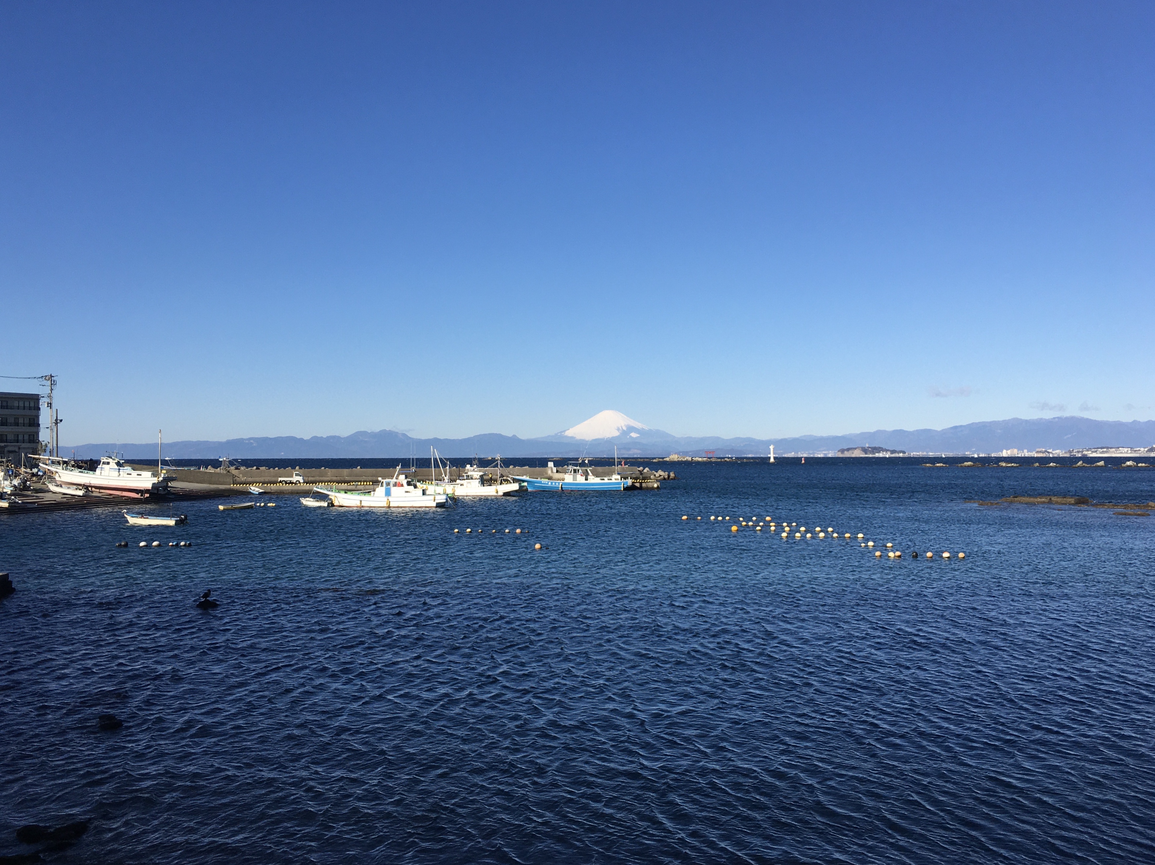 富士山