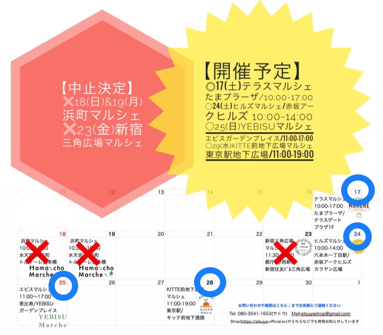 最新/出店スケジュール