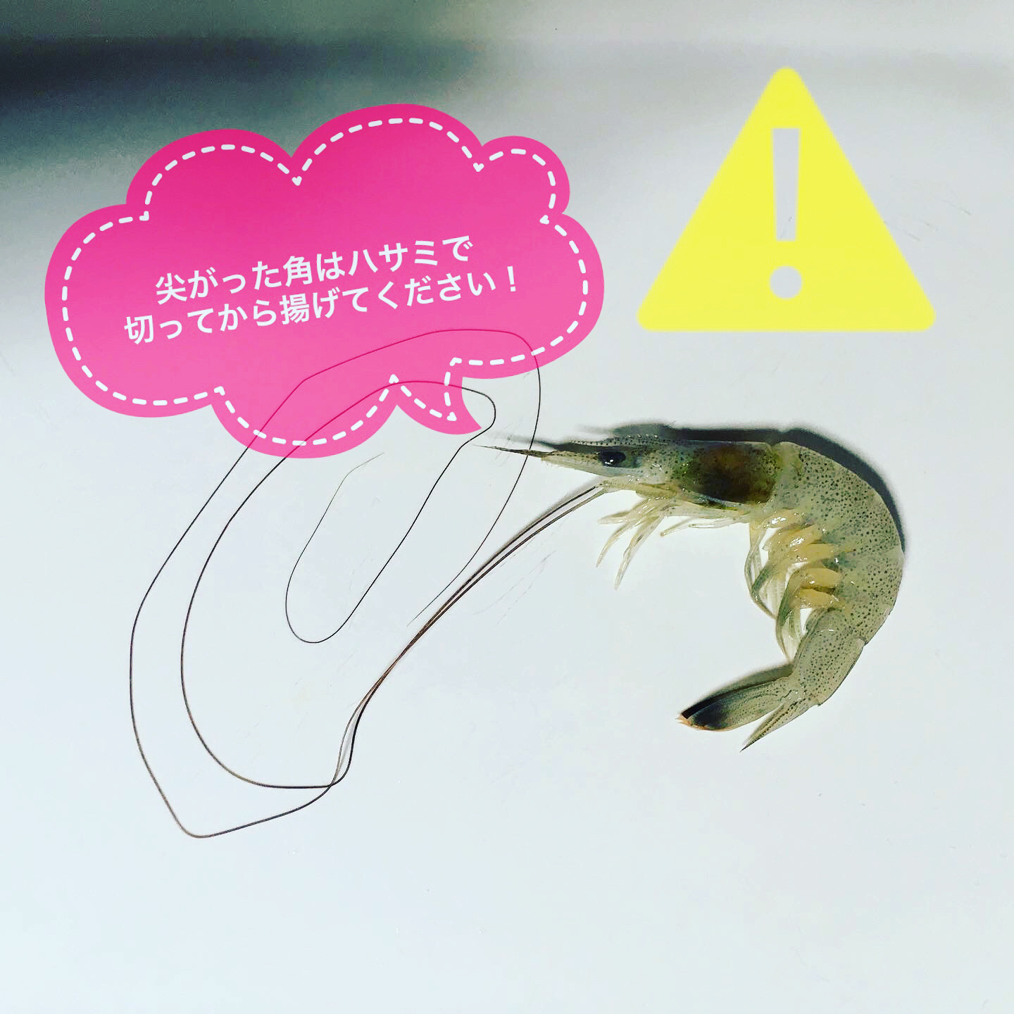 【※エビ🦐の尖がった角は切りましょう投稿⚠️】