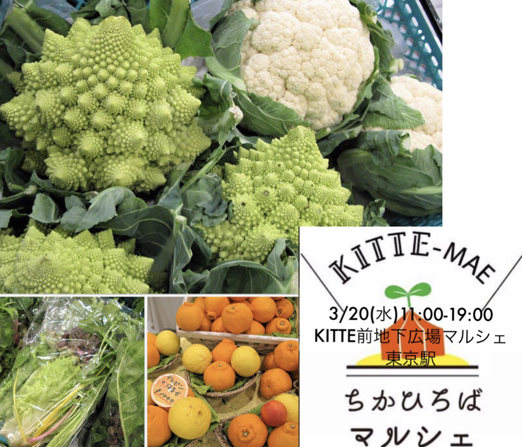 KITTE前地下広場マルシェ