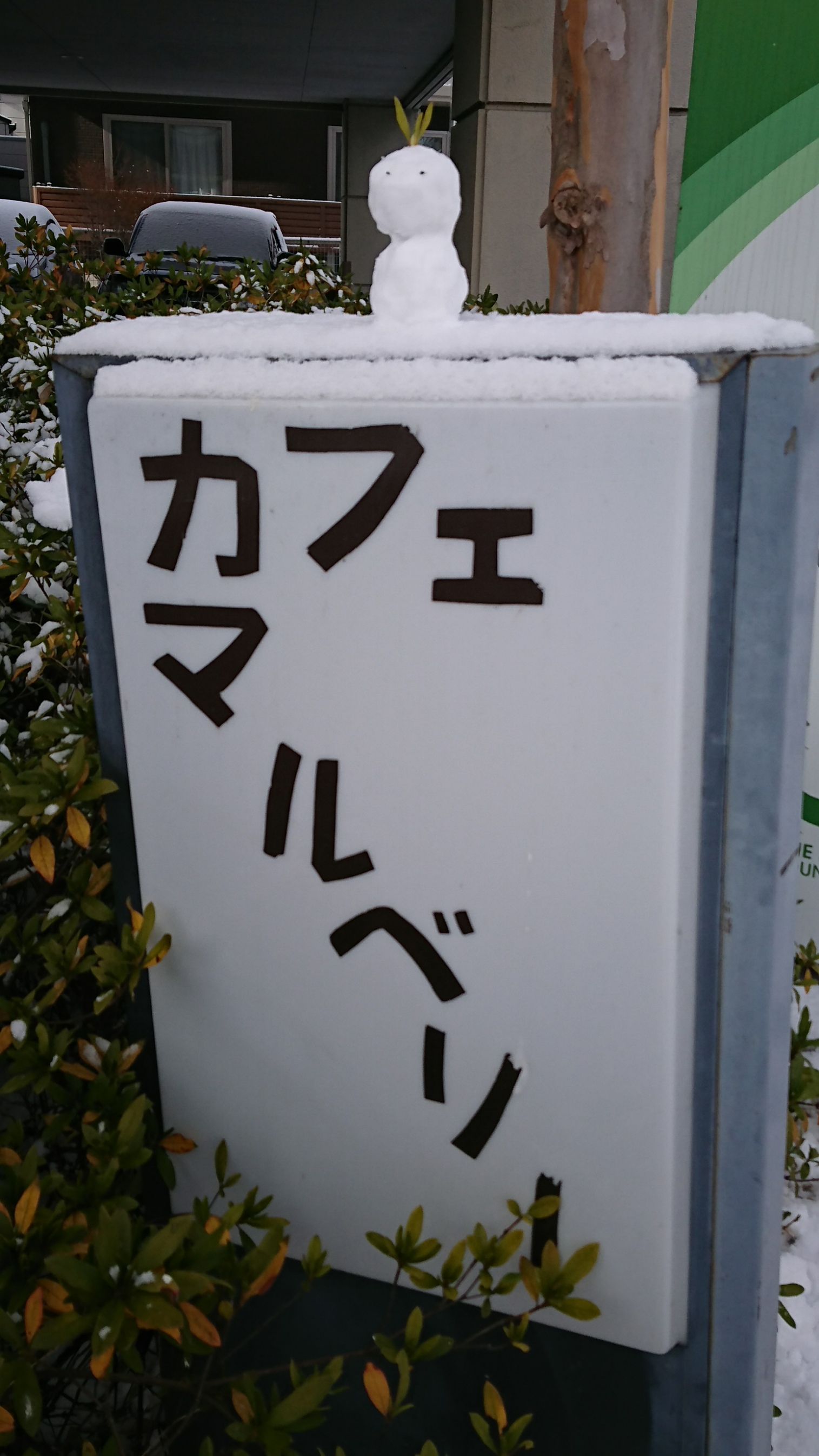 新年明けましておめでとうございます(^O^)