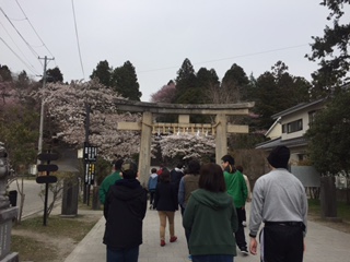 お花見に行ってきました～(^o^)