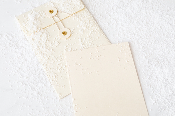 春の変化のお知らせ