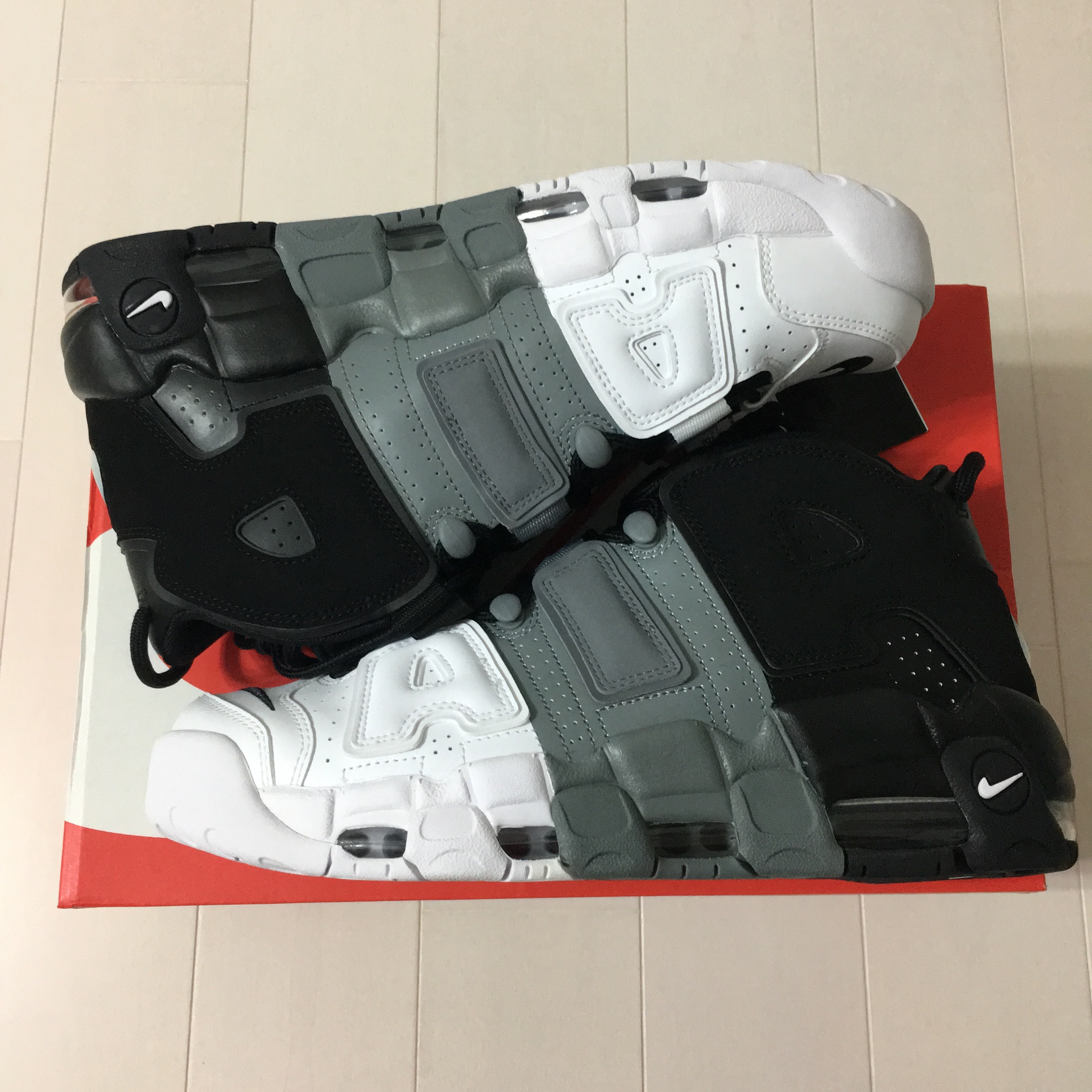 今なら10%OFFで¥24000→¥21600 更にALFは送料無料