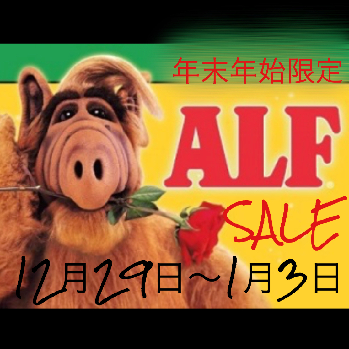☆年末年始限定SALEスタート☆