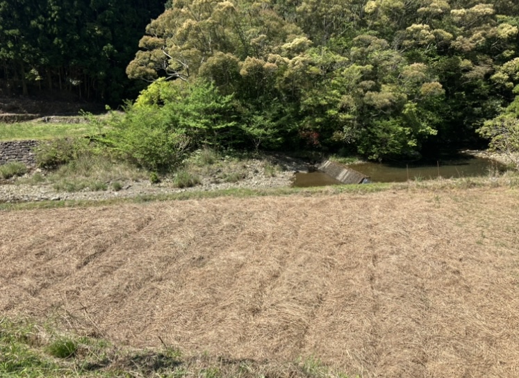 修行
