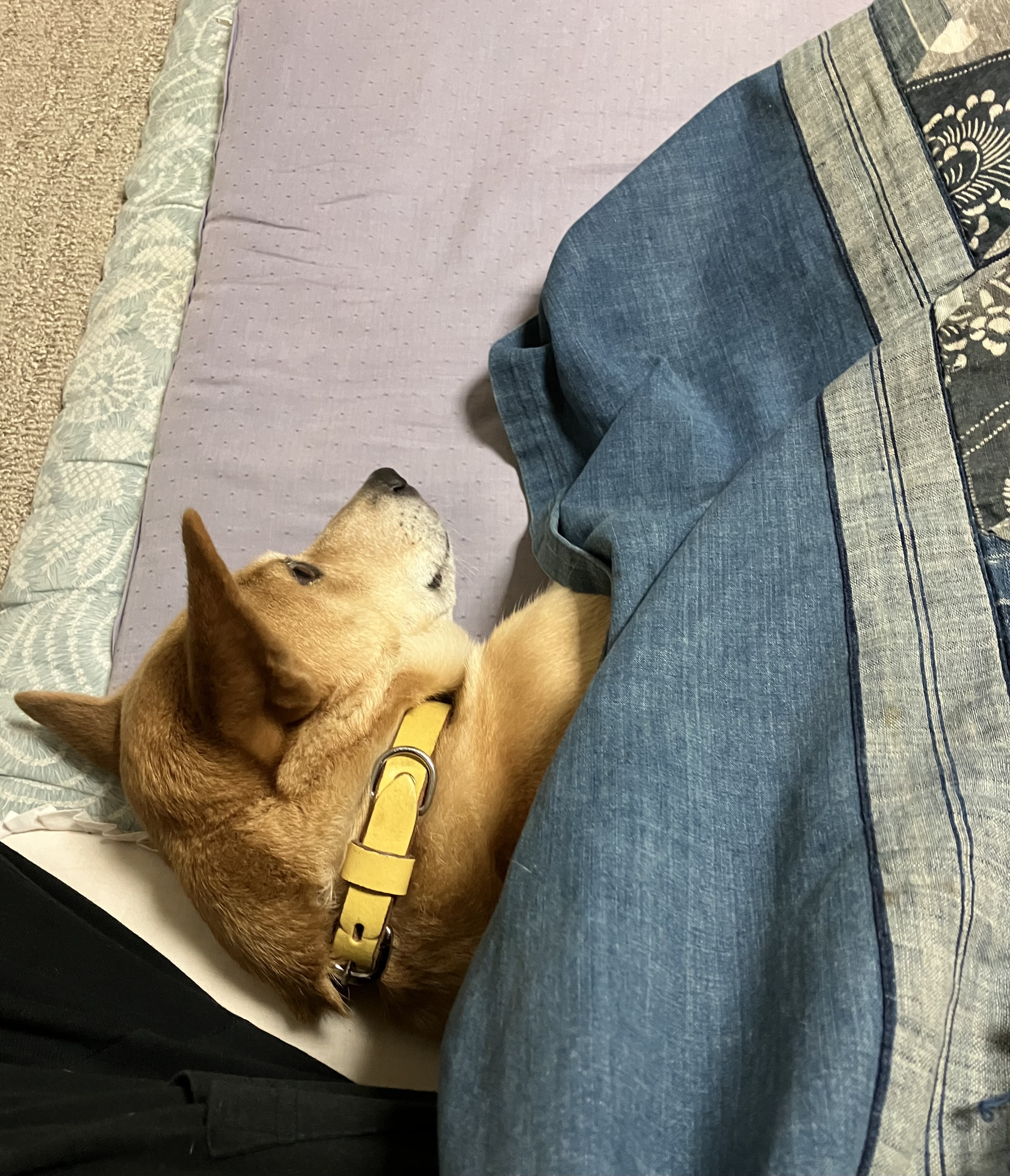 販売終了間近