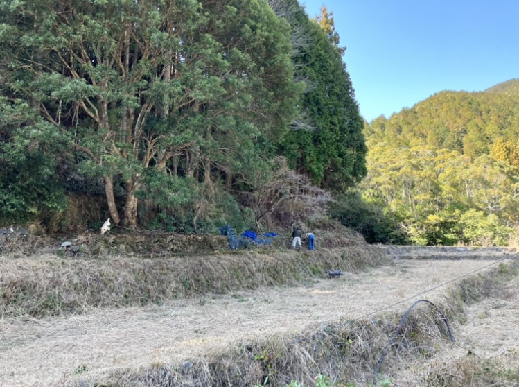 助っ人現る！師匠いつもありがとうございます☺︎