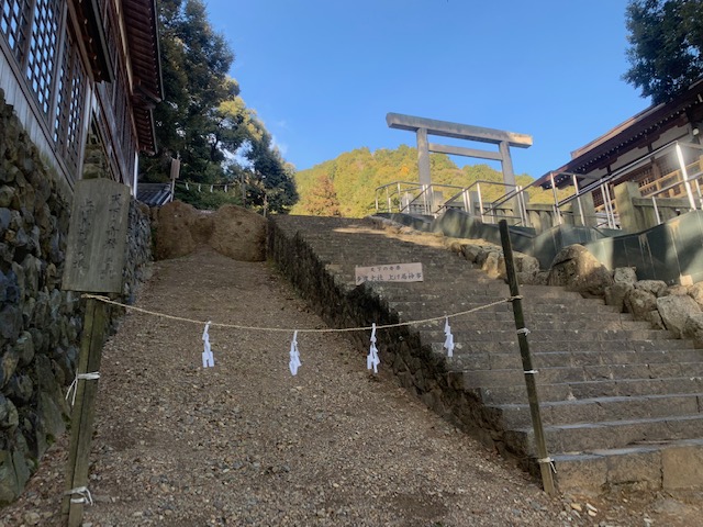 初詣に行ってきました！
