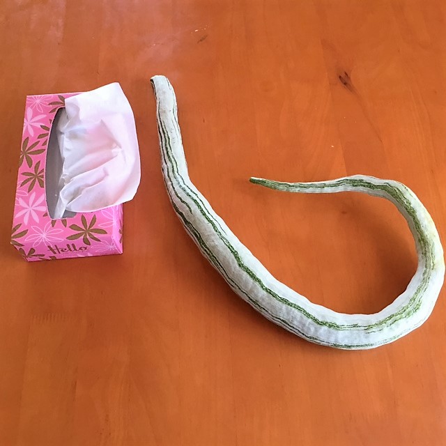 お野菜