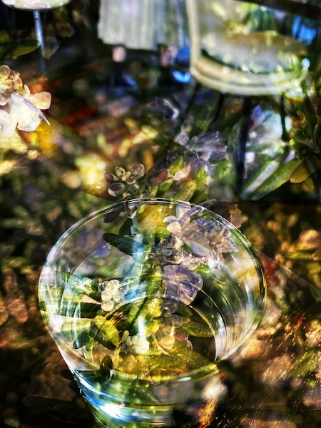 私のお気に入り「Spring has come」何気なく撮った一枚が春の光を放ちました。