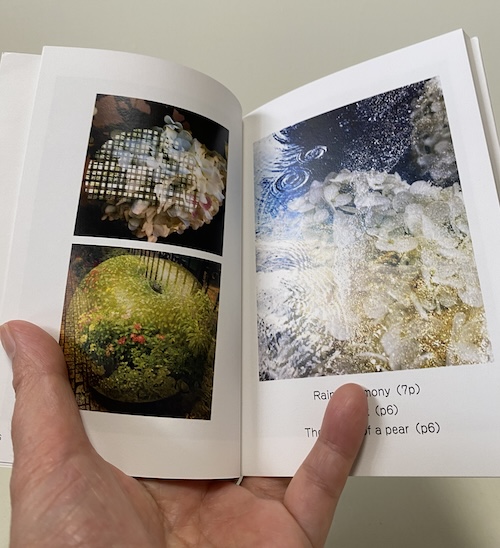 なぜか子どもたちに人気がある文庫本サイズの作品集『Overlap』