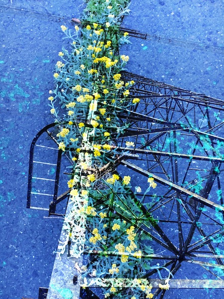 1年4ヶ月ぶりに Blogを再開しました。＜私が多重露光にハマった理由＞