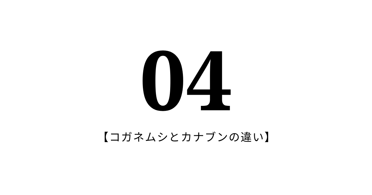 04：コガネムシとカナブンの違い