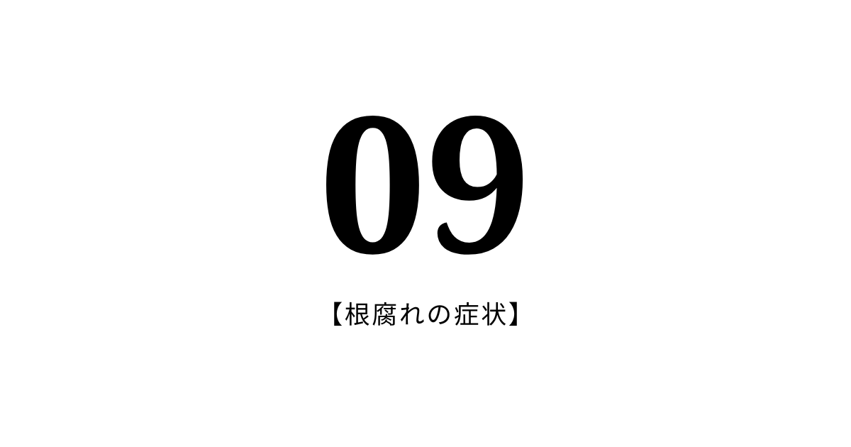 09：根腐れの症状