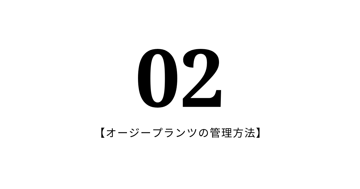 02：オージープランツの管理方法