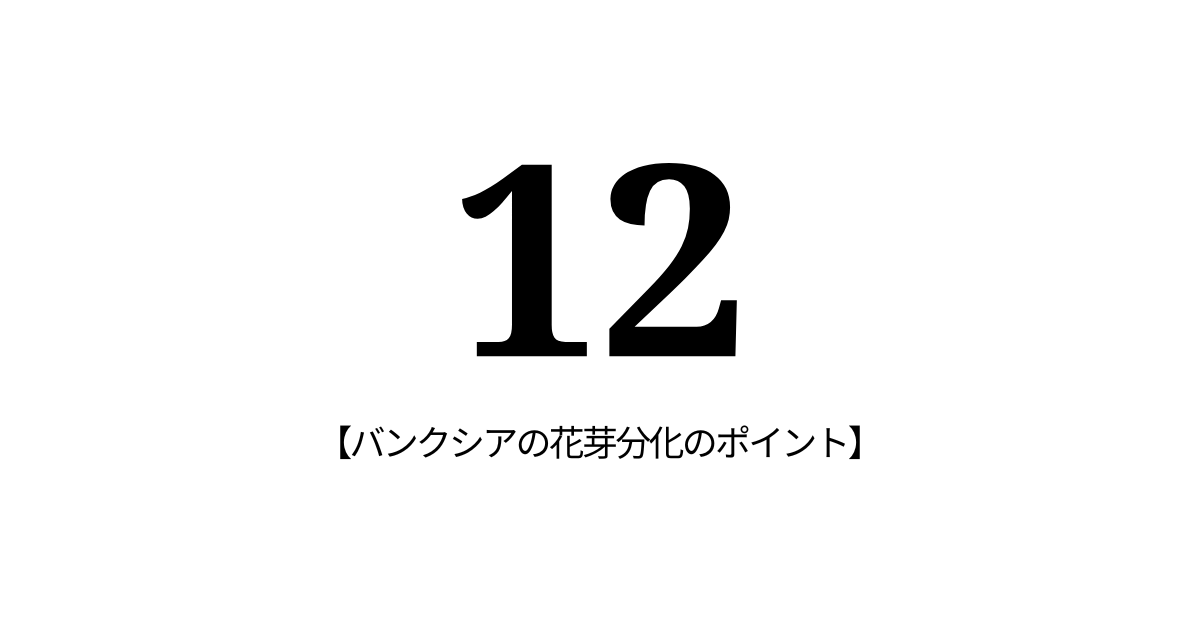 12：バンクシアの花芽分化のポイント
