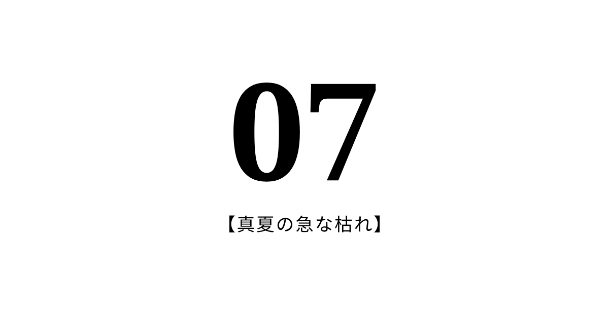 07：真夏の急な枯れ