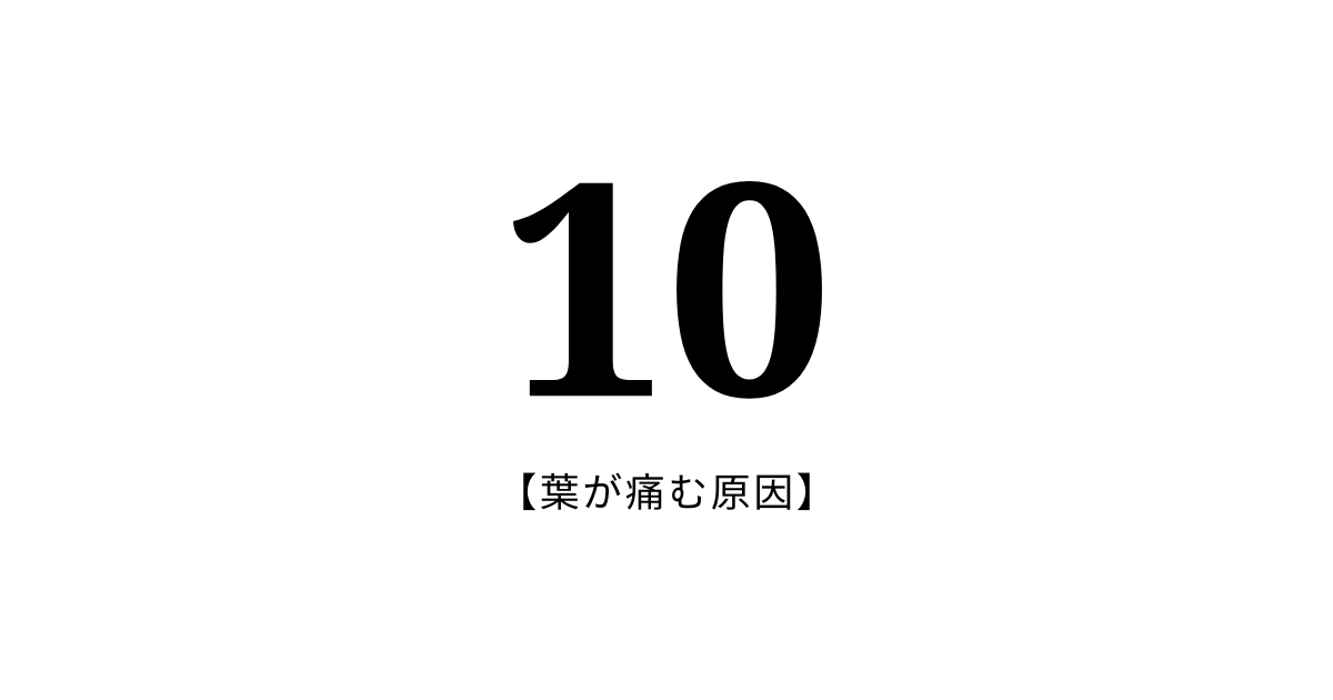 10：葉が痛む原因