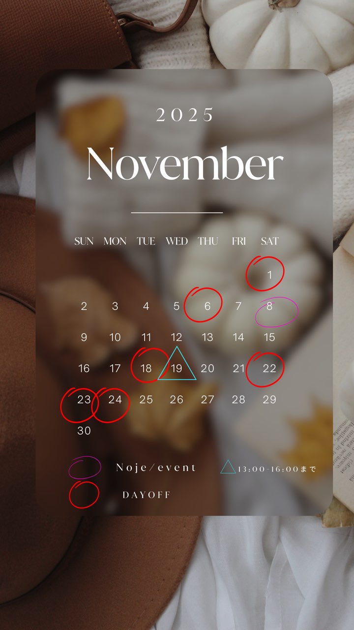 2025/11月スケジュール予定