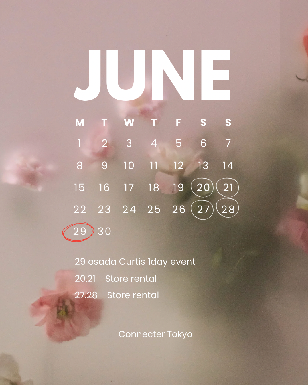 2025年6月　スケジュール