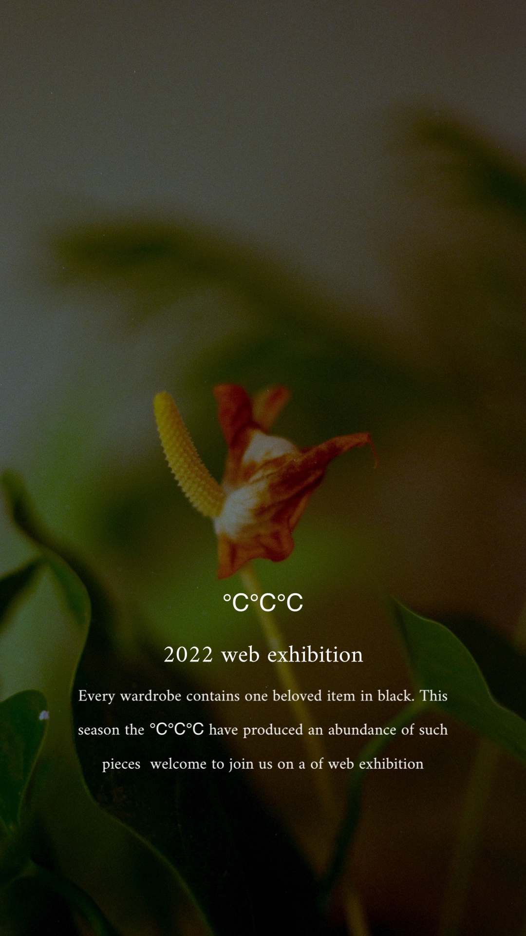 ℃℃℃ web exhibition  （展示会）