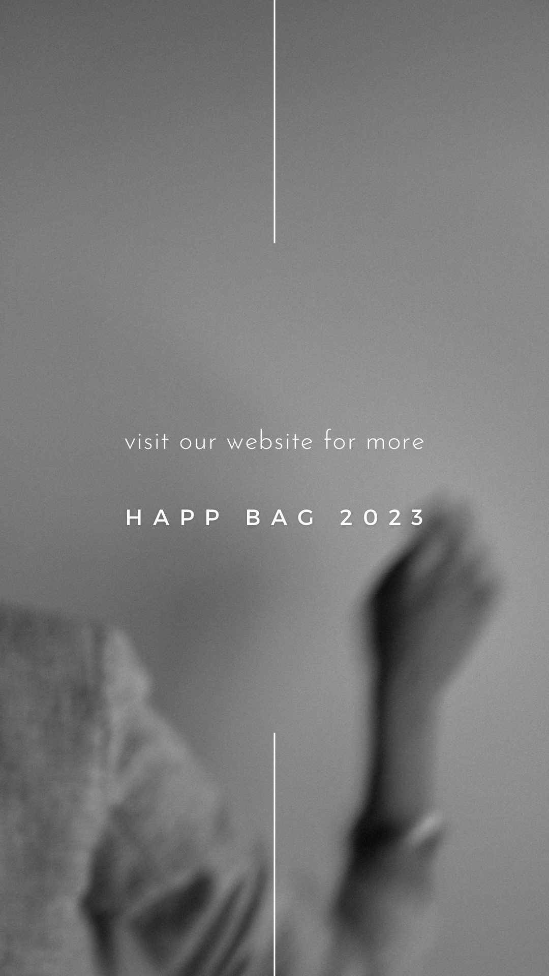 happy bag 2023