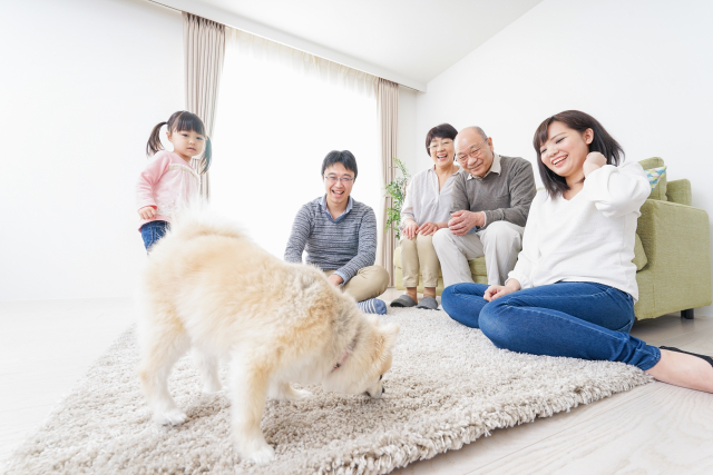 春のペットケア。暖かくなってきた季節の「ペットのニオイ対策」と安心安全な除菌