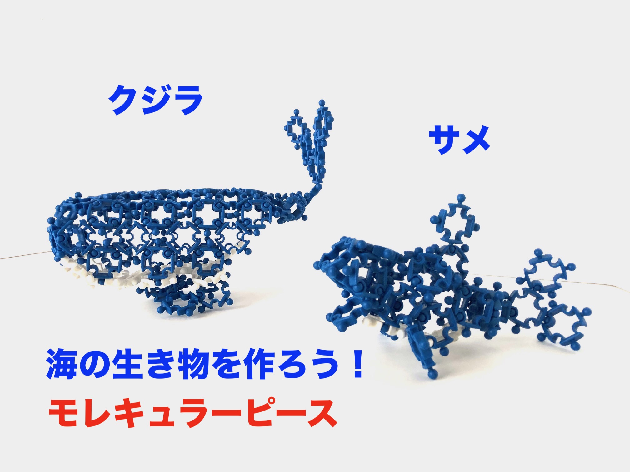 海の生き物をモレキュラーピースで作ってみました！