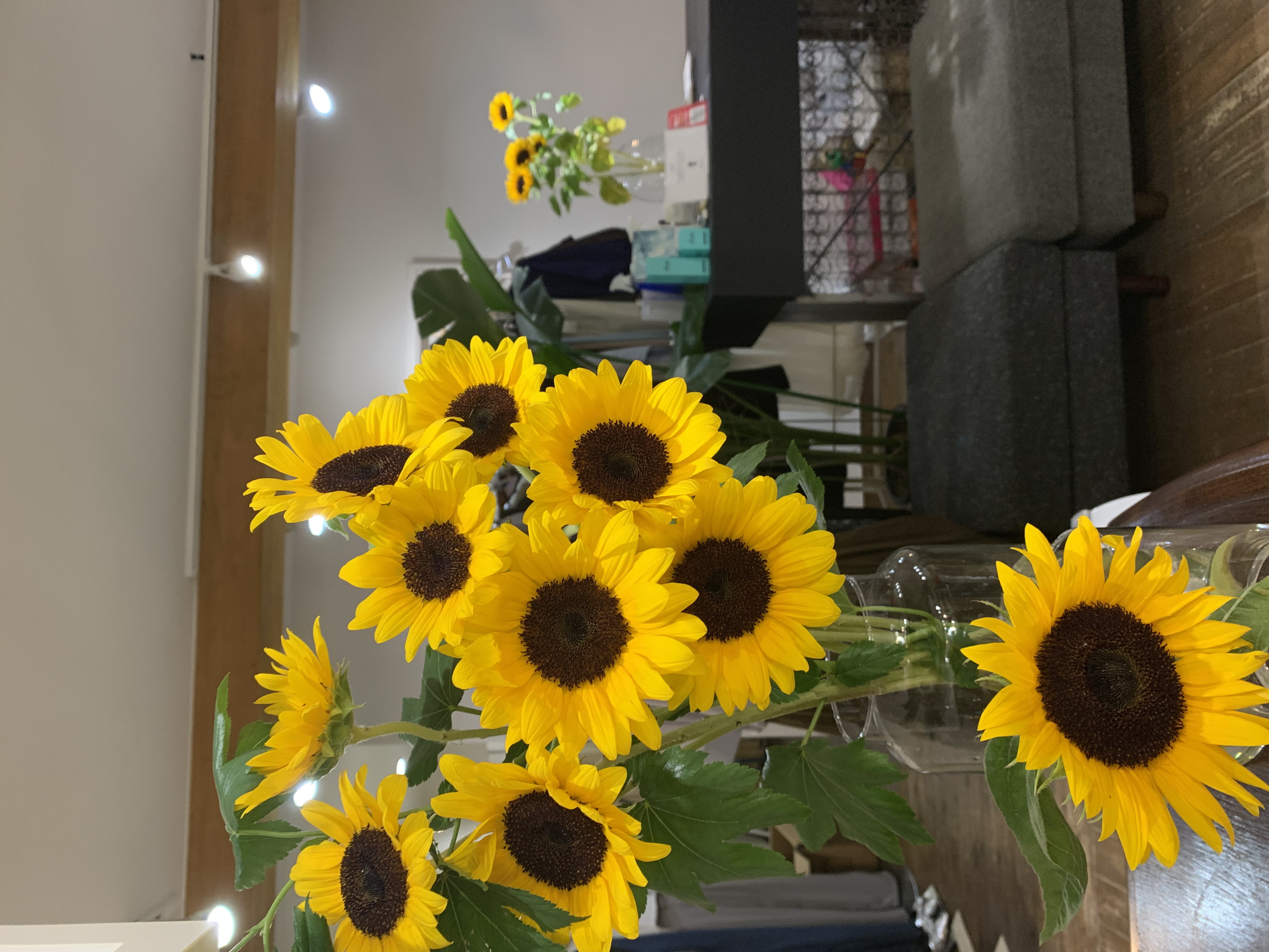 アニバーサリー🌻