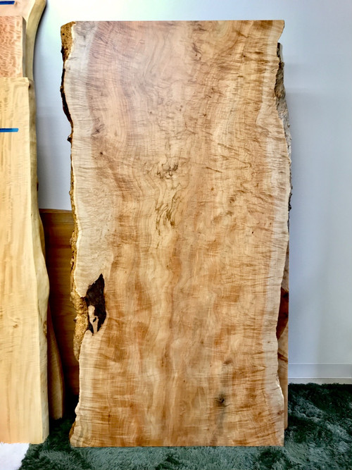 【NEW】浅草店にメープル　皺杢　一枚板が入荷しました！