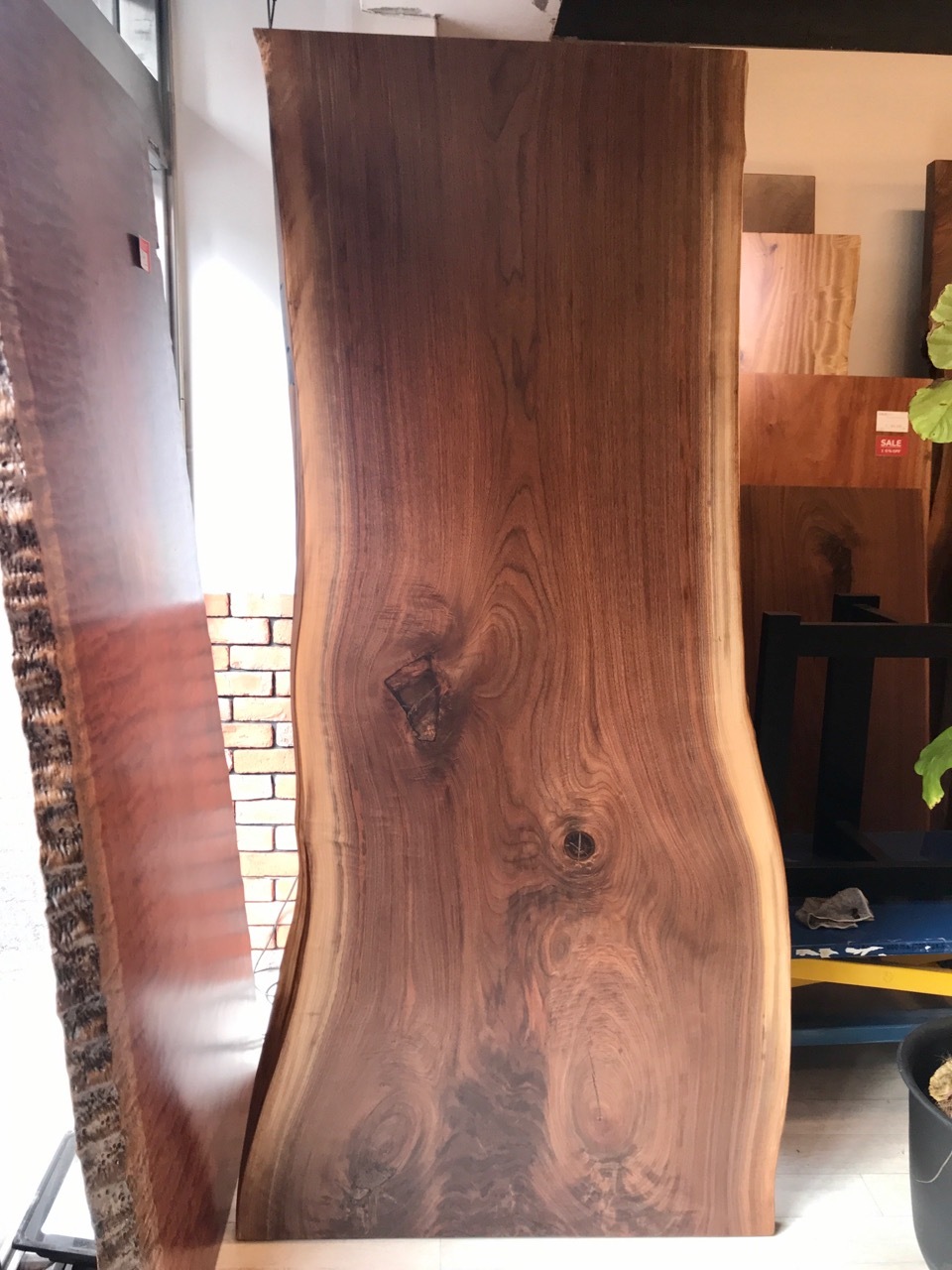 【NEW】浅草店にウォールナットの一枚板　６枚　新作入荷しました！No.2