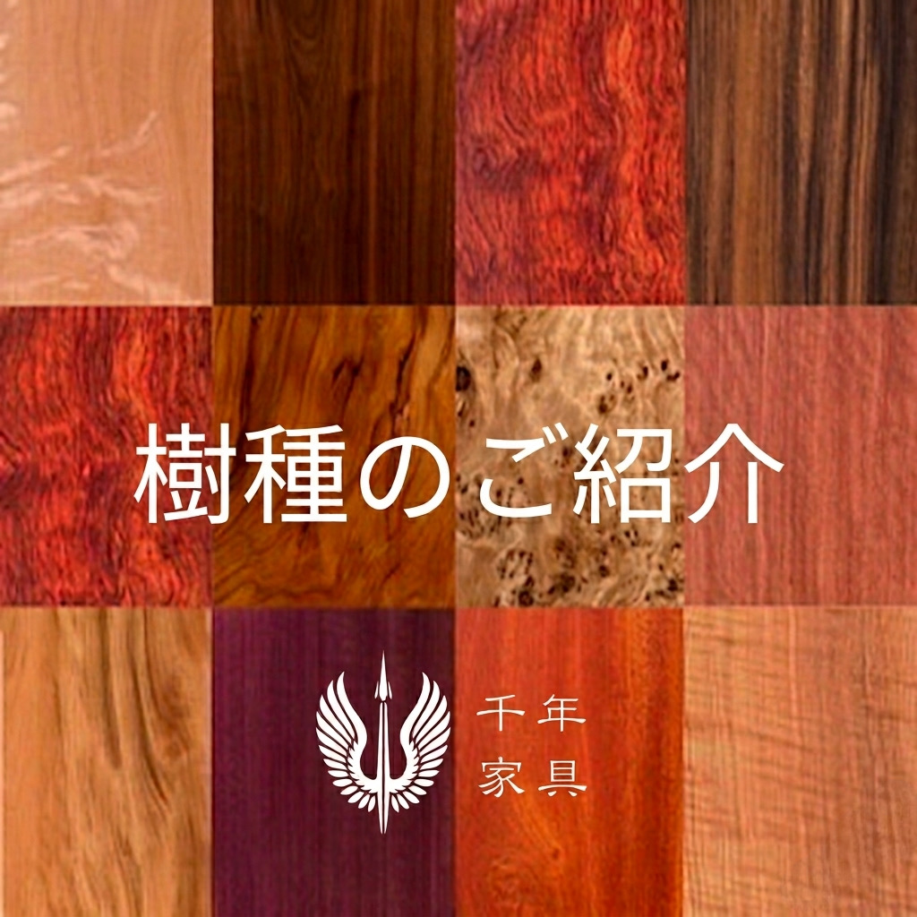 樹種のご紹介