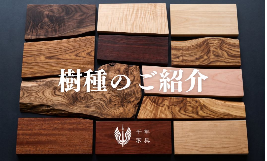 樹種のご紹介